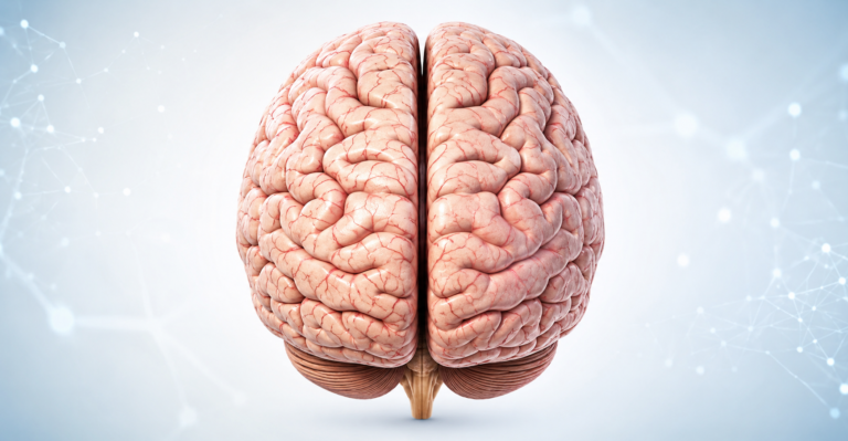 Longitudinal Fissure of the Brain: Longitudinal Cerebral Fissure Function and Anatomy Explained longitudinal fissure of the brain
